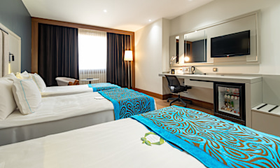 Deluxe Triple Room